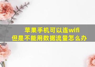 苹果手机可以连wifi但是不能用数据流量怎么办