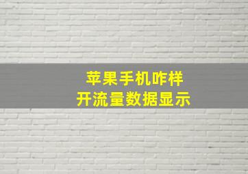 苹果手机咋样开流量数据显示