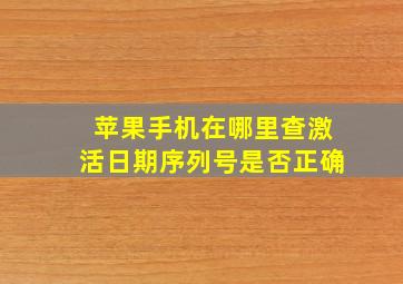 苹果手机在哪里查激活日期序列号是否正确