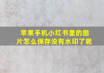 苹果手机小红书里的图片怎么保存没有水印了呢