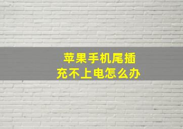 苹果手机尾插充不上电怎么办