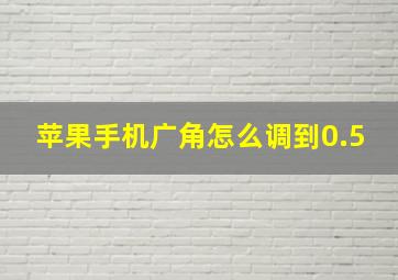 苹果手机广角怎么调到0.5