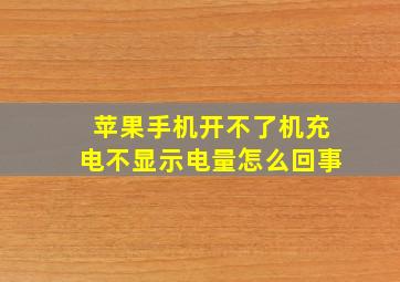 苹果手机开不了机充电不显示电量怎么回事