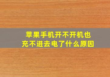 苹果手机开不开机也充不进去电了什么原因