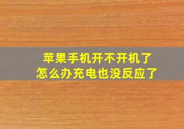 苹果手机开不开机了怎么办充电也没反应了