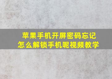 苹果手机开屏密码忘记怎么解锁手机呢视频教学