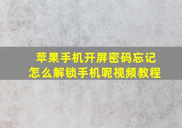 苹果手机开屏密码忘记怎么解锁手机呢视频教程