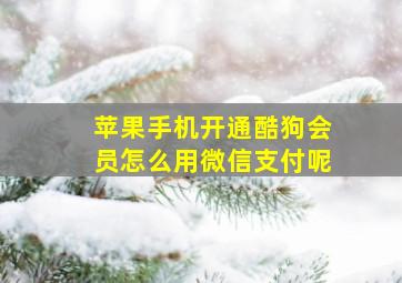 苹果手机开通酷狗会员怎么用微信支付呢