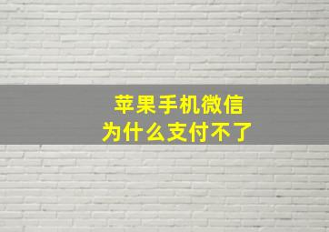 苹果手机微信为什么支付不了