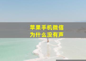 苹果手机微信为什么没有声