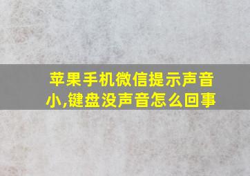 苹果手机微信提示声音小,键盘没声音怎么回事