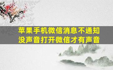 苹果手机微信消息不通知没声音打开微信才有声音