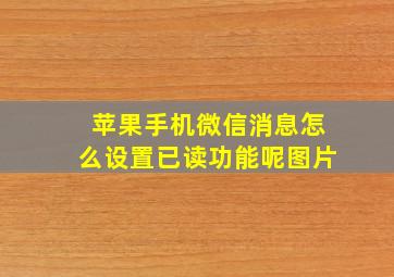 苹果手机微信消息怎么设置已读功能呢图片