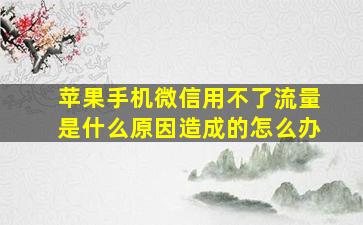 苹果手机微信用不了流量是什么原因造成的怎么办