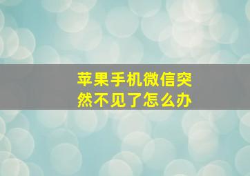 苹果手机微信突然不见了怎么办