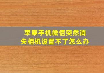 苹果手机微信突然消失相机设置不了怎么办