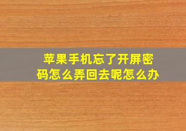 苹果手机忘了开屏密码怎么弄回去呢怎么办