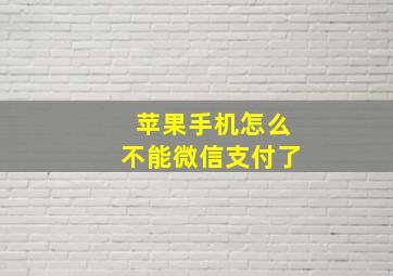 苹果手机怎么不能微信支付了