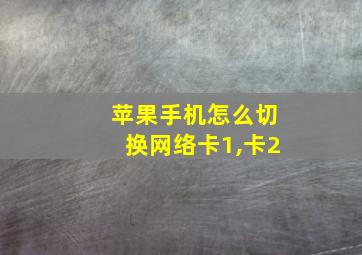 苹果手机怎么切换网络卡1,卡2