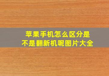 苹果手机怎么区分是不是翻新机呢图片大全