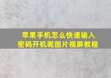 苹果手机怎么快速输入密码开机呢图片视屏教程