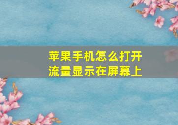 苹果手机怎么打开流量显示在屏幕上