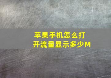 苹果手机怎么打开流量显示多少M