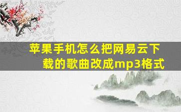 苹果手机怎么把网易云下载的歌曲改成mp3格式