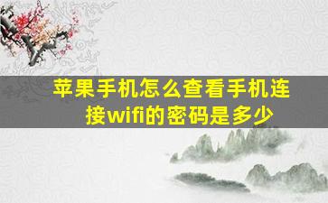 苹果手机怎么查看手机连接wifi的密码是多少