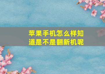 苹果手机怎么样知道是不是翻新机呢