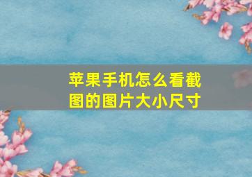 苹果手机怎么看截图的图片大小尺寸