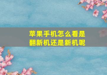 苹果手机怎么看是翻新机还是新机呢