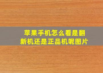 苹果手机怎么看是翻新机还是正品机呢图片