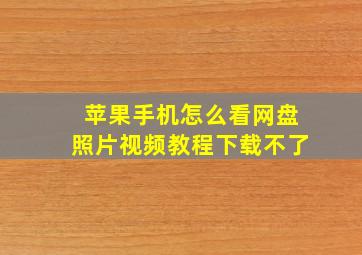 苹果手机怎么看网盘照片视频教程下载不了