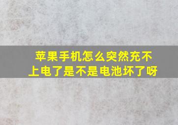 苹果手机怎么突然充不上电了是不是电池坏了呀