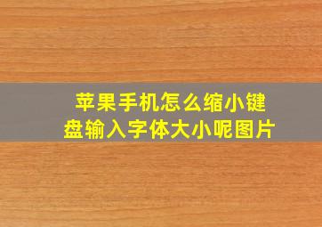 苹果手机怎么缩小键盘输入字体大小呢图片