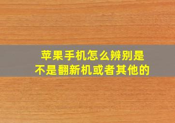 苹果手机怎么辨别是不是翻新机或者其他的