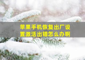 苹果手机恢复出厂设置激活出错怎么办啊