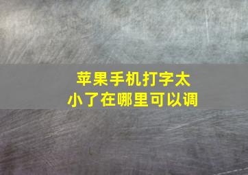 苹果手机打字太小了在哪里可以调