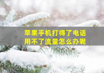 苹果手机打得了电话用不了流量怎么办呢