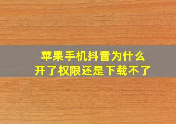 苹果手机抖音为什么开了权限还是下载不了