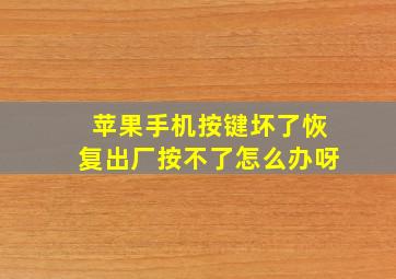 苹果手机按键坏了恢复出厂按不了怎么办呀