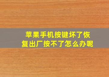 苹果手机按键坏了恢复出厂按不了怎么办呢