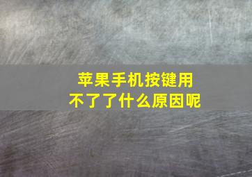 苹果手机按键用不了了什么原因呢