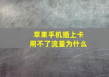 苹果手机插上卡用不了流量为什么