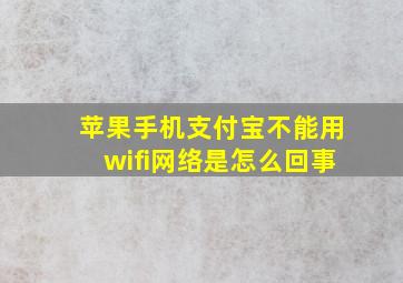 苹果手机支付宝不能用wifi网络是怎么回事