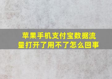 苹果手机支付宝数据流量打开了用不了怎么回事