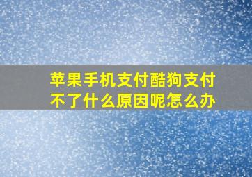 苹果手机支付酷狗支付不了什么原因呢怎么办