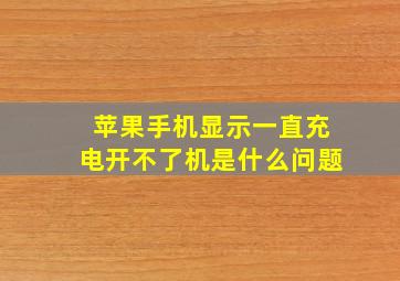 苹果手机显示一直充电开不了机是什么问题