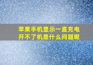 苹果手机显示一直充电开不了机是什么问题呢